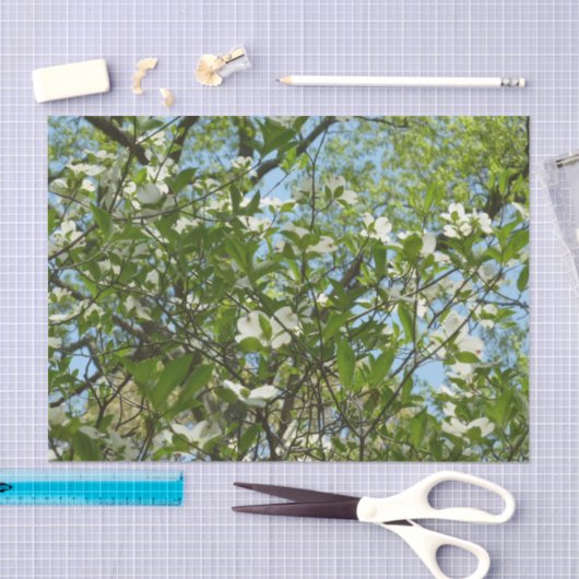 Branches van Dogwood Blossom Spring Trees Tissuepapier (Craft)