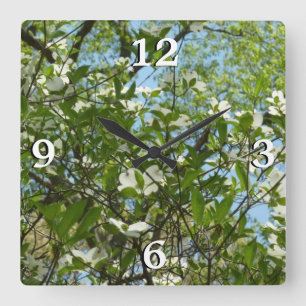 Branches van Dogwood Blossom Spring Trees Vierkante Klok