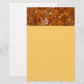 Branches van Maple Leaves I Oranje herfst Briefpapier (Voorkant / Achterkant)
