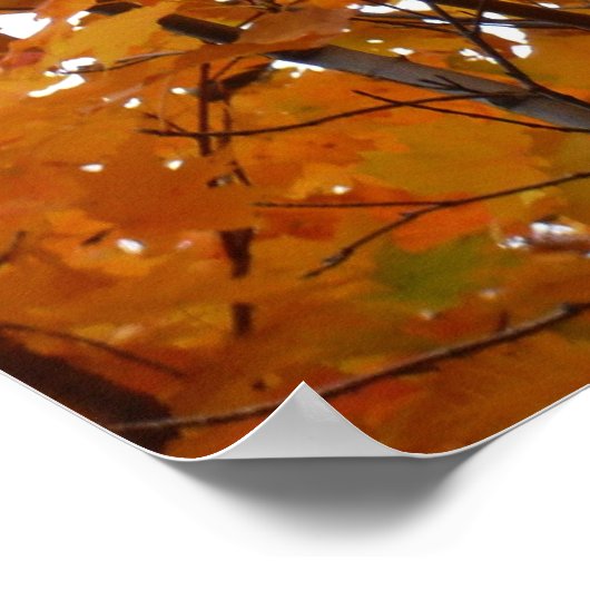 Branches van Maple Leaves I Oranje herfst Poster (Hoek)
