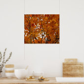 Branches van Maple Leaves I Oranje herfst Poster (Keuken)