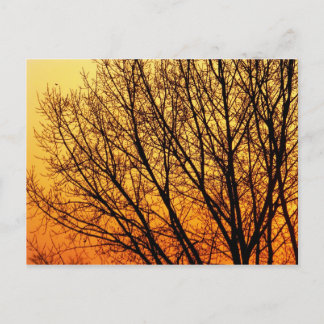 Branching Blank Notecard 1 Briefkaart