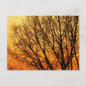 Branching Blank Notecard 1 Briefkaart (Voorkant)