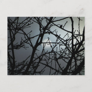 Branching Blank Notecard 2 Briefkaart