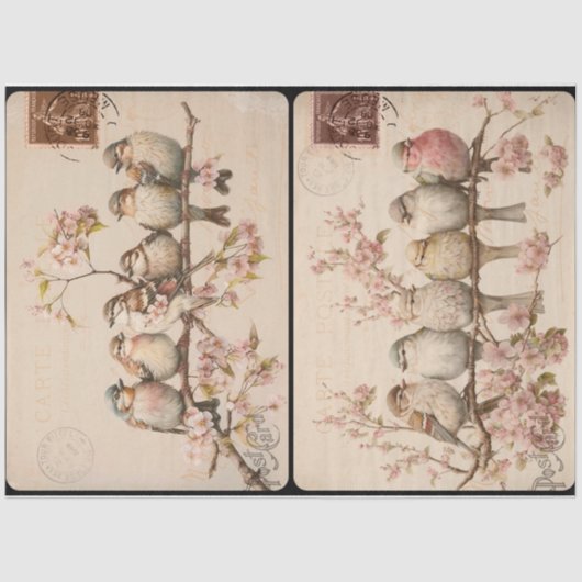 Branchy Birds Tissuepapier (Voorkant)