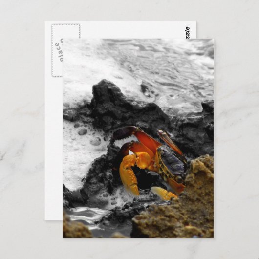 Brand op het zee briefkaart (Voorkant / Achterkant)