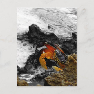 Brand op het zee briefkaart