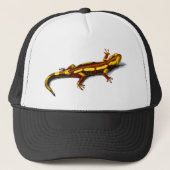  brand Salamander Trucker Pet (Voorkant)