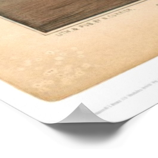 Brand van het clipperschip "Golden Light" (0143A) Poster (Hoek)