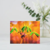 Brandbestendigheid Briefkaart (Staand voorkant)