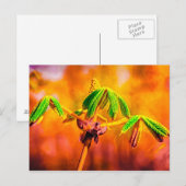 Brandbestendigheid Briefkaart (Voorkant / Achterkant)