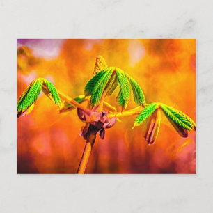 Brandbestendigheid Briefkaart