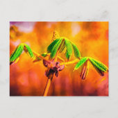 Brandbestendigheid Briefkaart (Voorkant)