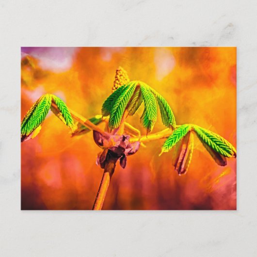 Brandbestendigheid Briefkaart (Voorkant)