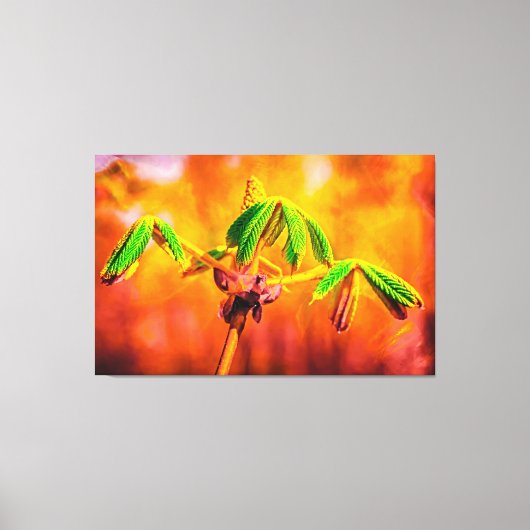 Brandbestendigheid Canvas Afdruk (Voorkant)