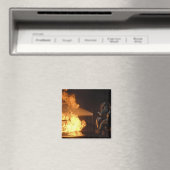 Brandblussers blussen een gesimuleerde batterijvez magneet (Insitu (Vaatwasser))