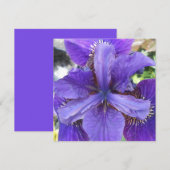 Brandeis (Voorkant / Achterkant)