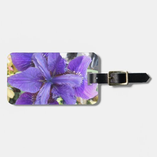 Brandeis  bagagelabel (Voorkant horizontaal)