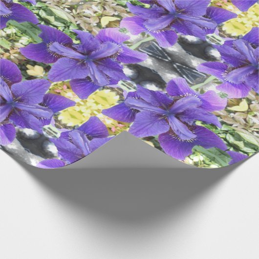 Brandeis Cadeaupapier (Hoek)