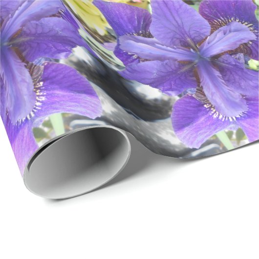 Brandeis Cadeaupapier (Rol Hoek)