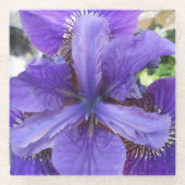 Brandeis Glazen Onderzetter (Voorkant)