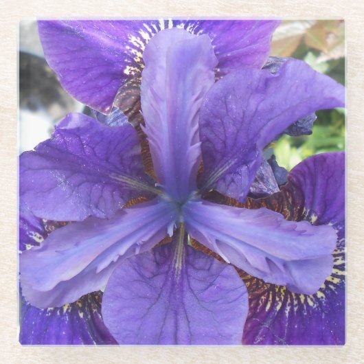 Brandeis Glazen Onderzetter (Voorkant)