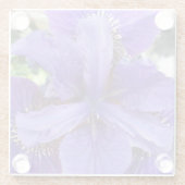 Brandeis Glazen Onderzetter (Achterkant)