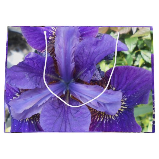 Brandeis Large Cadeautasje (Voorkant)