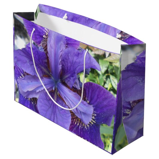 Brandeis Large Cadeautasje (Achterkant Gekanteld)