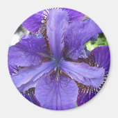 Brandeis Magneet (Voorkant)