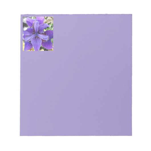 Brandeis Notitieblok (Voorkant)