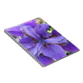 Brandeis Notitieboek (Rechterzijde)