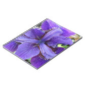 Brandeis Notitieboek (Linkerzijde)