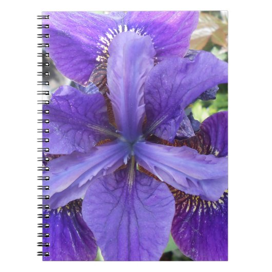 Brandeis Notitieboek (Voorkant)