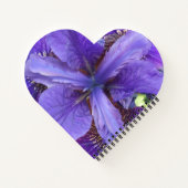 Brandeis Notitieboek (Achterkant)