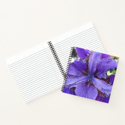 Brandeis Notitieboek (Binnen)