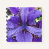 Brandeis Notitieboek (Voorkant)