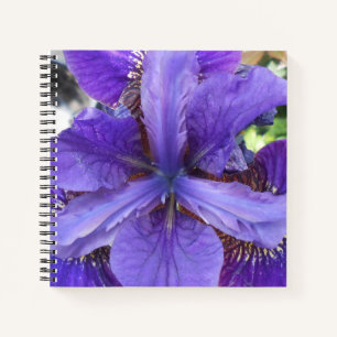 Brandeis Notitieboek