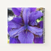 Brandeis Notitieboek (Achterkant)