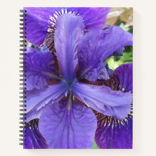 Brandeis Notitieboek (Voorkant)