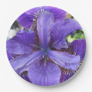 Brandeis Papieren Bordje