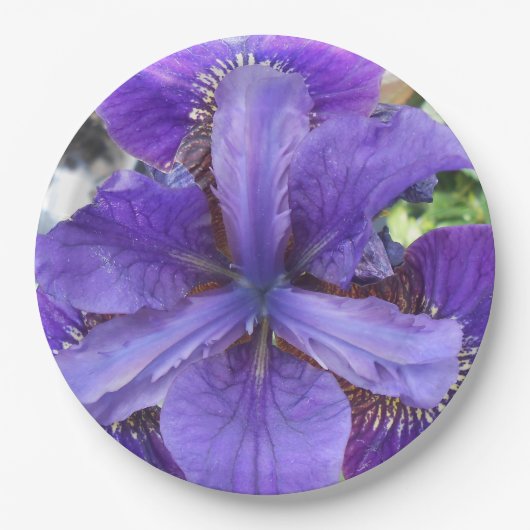 Brandeis Papieren Bordje (Voorkant)