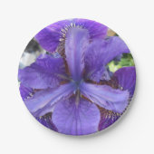 Brandeis Papieren Bordje (Voorkant)