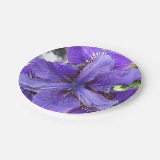 Brandeis Papieren Bordje (Gekanteld)