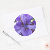 Brandeis Ronde Sticker (Envelop)