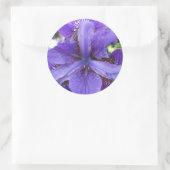 Brandeis Ronde Sticker (Tas)