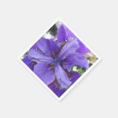 Brandeis Servetten (Hoek)