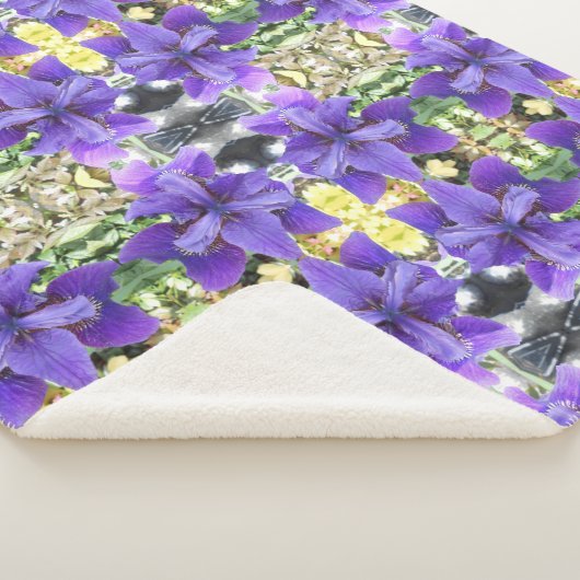 Brandeis Sherpa Deken (3/4)