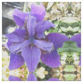 Brandeis Stof (Close Up)