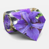 Brandeis Stropdas (Opgerold)